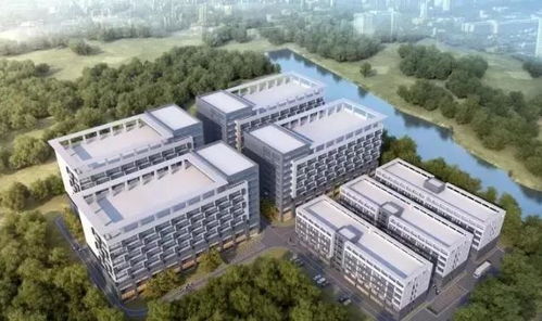 中堂鎮11個優質項目集中簽約